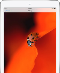 iPad Air od blizu